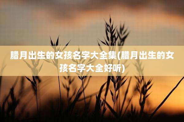 腊月出生的女孩名字大全集(腊月出生的女孩名字大全好听)