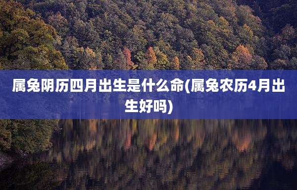 属兔阴历四月出生是什么命(属兔农历4月出生好吗)