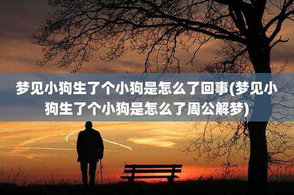 梦见小狗生了个小狗是怎么了回事(梦见小狗生了个小狗是怎么了周公解梦)
