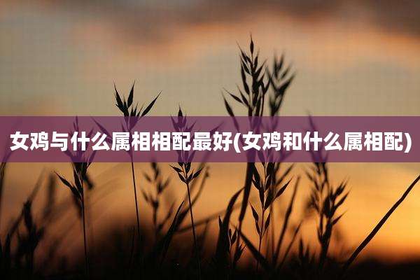 女鸡与什么属相相配最好(女鸡和什么属相配)