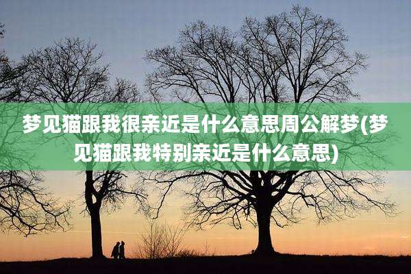 梦见猫跟我很亲近是什么意思周公解梦(梦见猫跟我特别亲近是什么意思)
