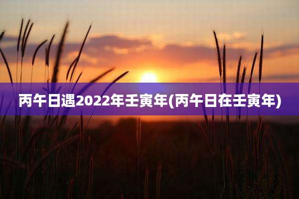 丙午日遇2022年壬寅年(丙午日在壬寅年)