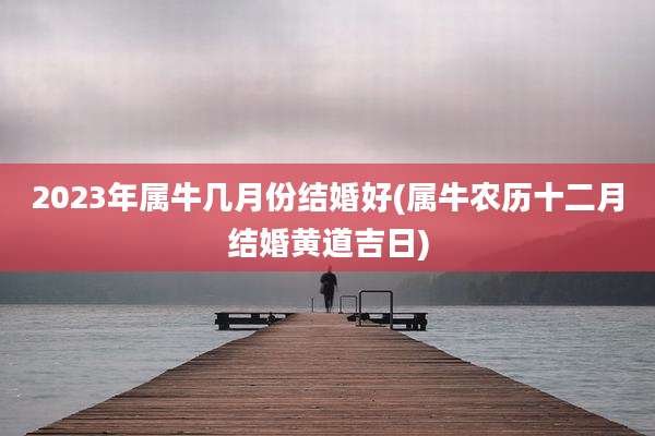 2023年属牛几月份结婚好(属牛农历十二月结婚黄道吉日)
