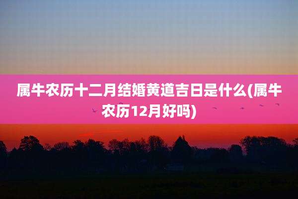 属牛农历十二月结婚黄道吉日是什么(属牛农历12月好吗)