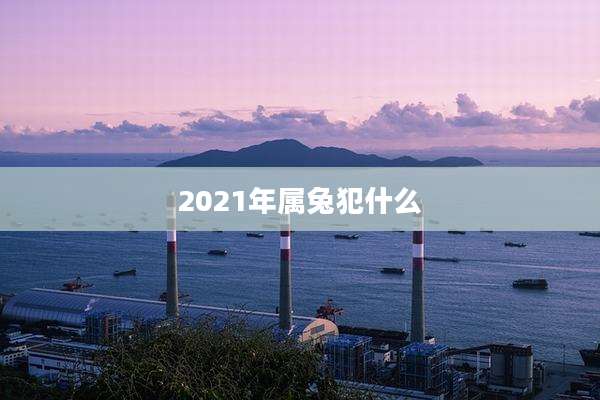 2021年属兔犯什么