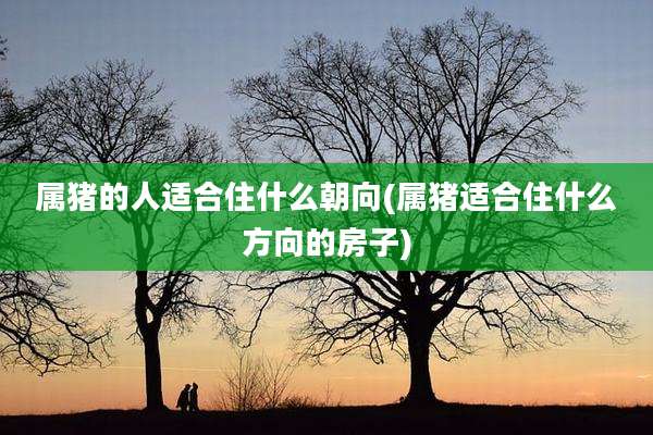 属猪的人适合住什么朝向(属猪适合住什么方向的房子)