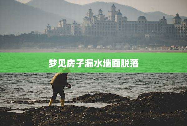 梦见房子漏水墙面脱落