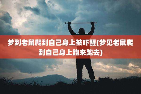 梦到老鼠爬到自己身上被吓醒(梦见老鼠爬到自己身上跑来跑去)