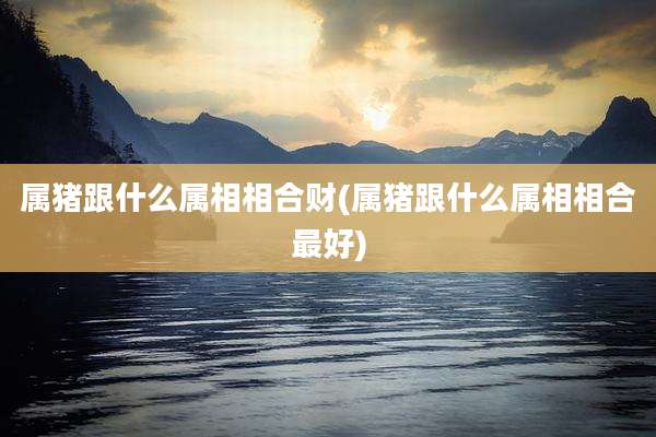 属猪跟什么属相相合财(属猪跟什么属相相合最好)