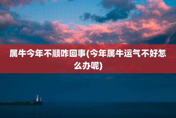 属牛今年不顺咋回事(今年属牛运气不好怎么办呢)