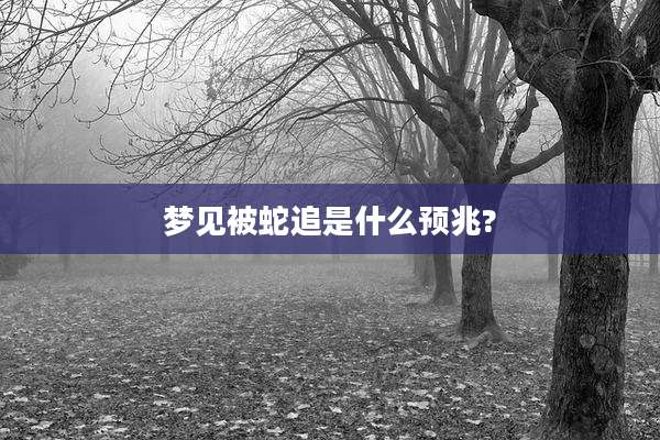 梦见被蛇追是什么预兆?