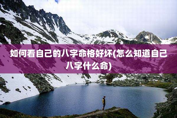 如何看自己的八字命格好坏(怎么知道自己八字什么命)