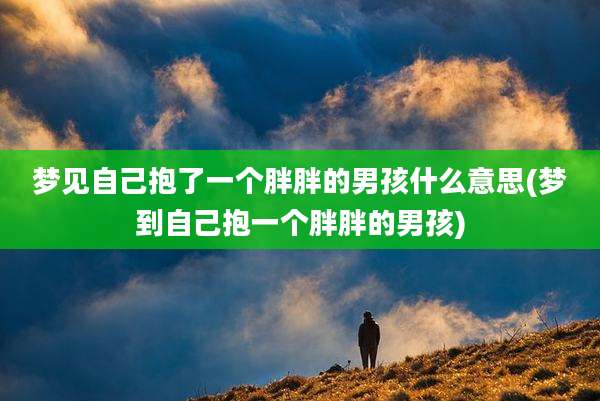梦见自己抱了一个胖胖的男孩什么意思(梦到自己抱一个胖胖的男孩)