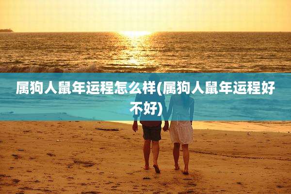 属狗人鼠年运程怎么样(属狗人鼠年运程好不好)