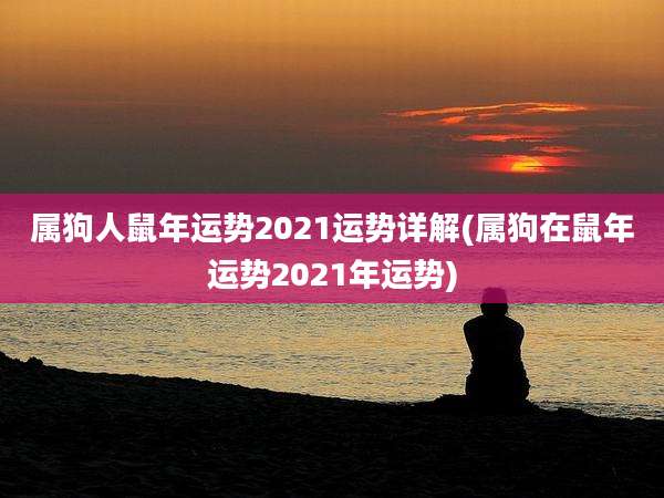 属狗人鼠年运势2021运势详解(属狗在鼠年运势2021年运势)