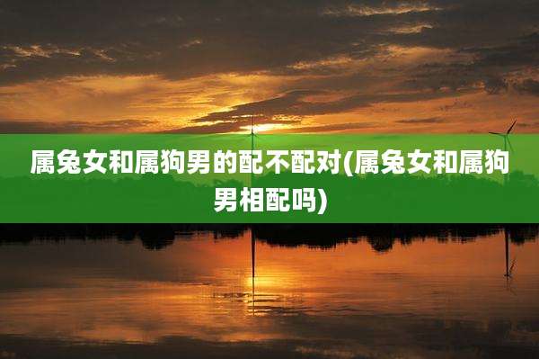 属兔女和属狗男的配不配对(属兔女和属狗男相配吗)