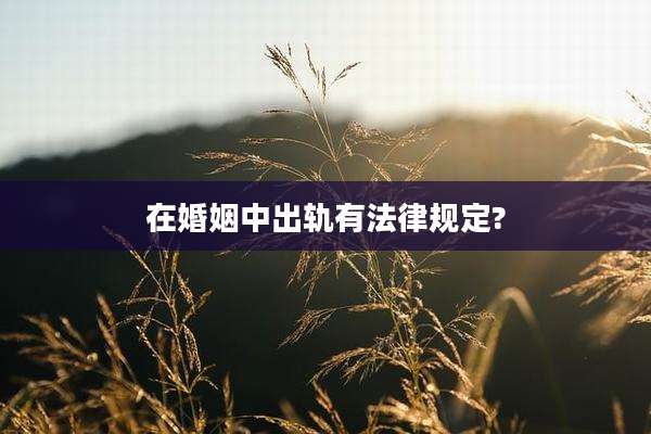 在婚姻中出轨有法律规定?