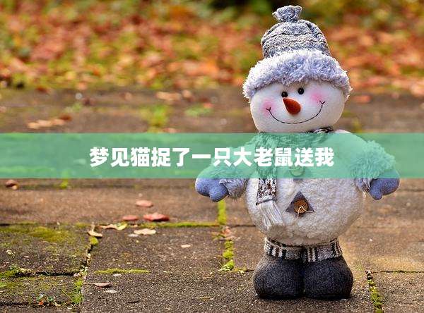 梦见猫捉了一只大老鼠送我