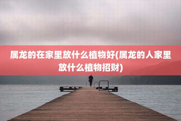 属龙的在家里放什么植物好(属龙的人家里放什么植物招财)