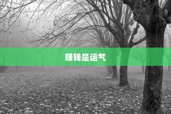 赚钱是运气