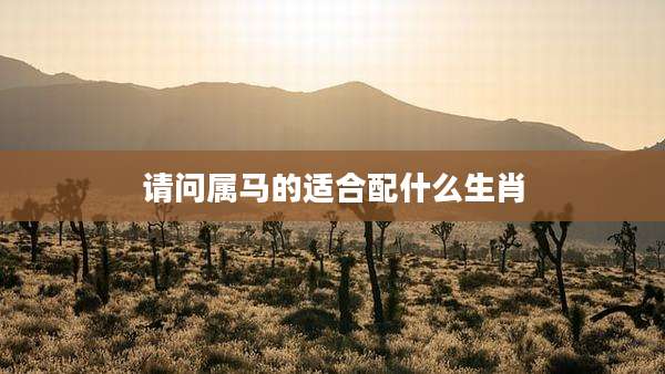 请问属马的适合配什么生肖