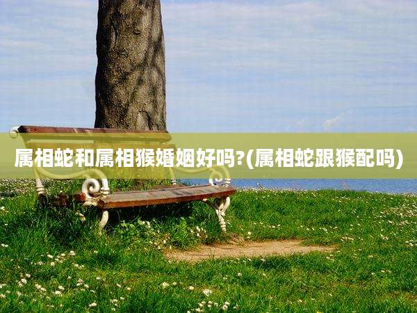 属相蛇和属相猴婚姻好吗?(属相蛇跟猴配吗)