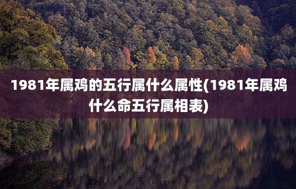 1981年属鸡的五行属什么属性(1981年属鸡什么命五行属相表)