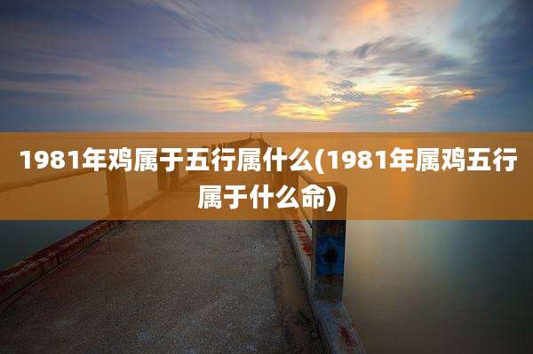 1981年鸡属于五行属什么(1981年属鸡五行属于什么命)