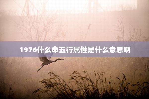 1976什么命五行属性是什么意思啊