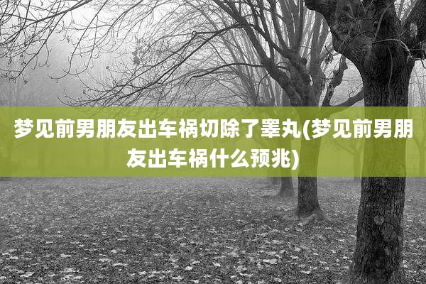 梦见前男朋友出车祸切除了睾丸(梦见前男朋友出车祸什么预兆)