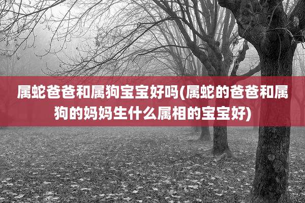 属蛇爸爸和属狗宝宝好吗(属蛇的爸爸和属狗的妈妈生什么属相的宝宝好)