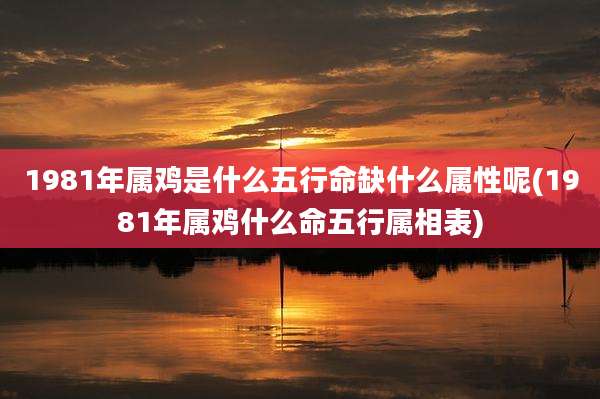 1981年属鸡是什么五行命缺什么属性呢(1981年属鸡什么命五行属相表)