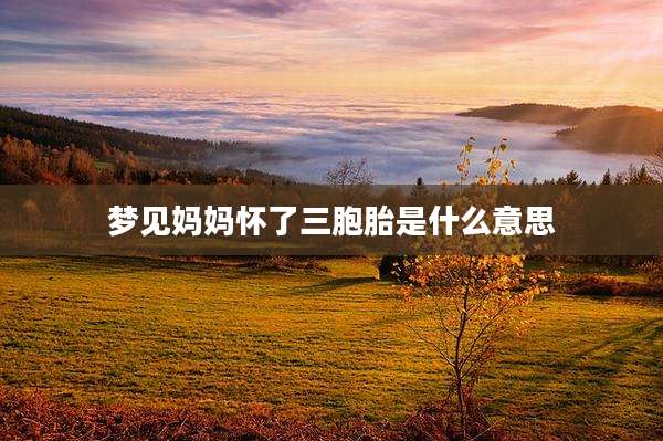 梦见妈妈怀了三胞胎是什么意思