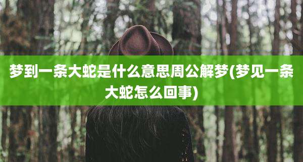 梦到一条大蛇是什么意思周公解梦(梦见一条大蛇怎么回事)