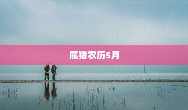 属猪农历5月