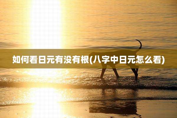 如何看日元有没有根(八字中日元怎么看)