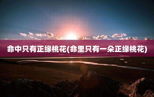 命中只有正缘桃花(命里只有一朵正缘桃花)