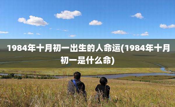 1984年十月初一出生的人命运(1984年十月初一是什么命)