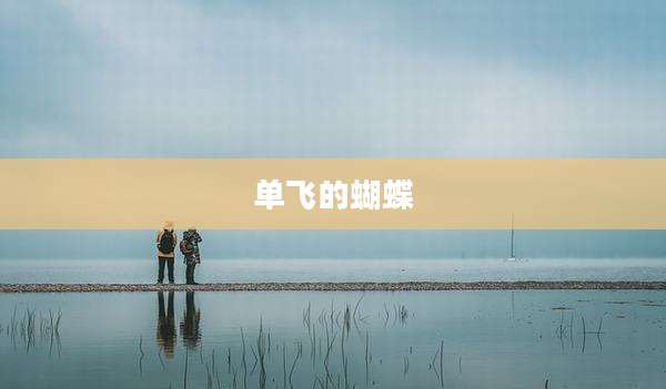 单飞的蝴蝶
