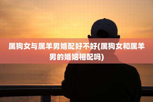 属狗女与属羊男婚配好不好(属狗女和属羊男的婚姻相配吗)