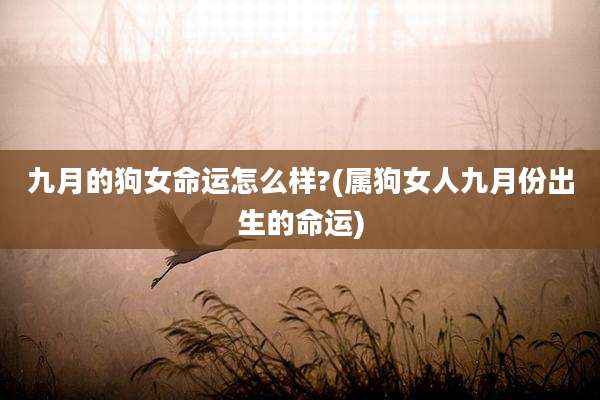 九月的狗女命运怎么样?(属狗女人九月份出生的命运)
