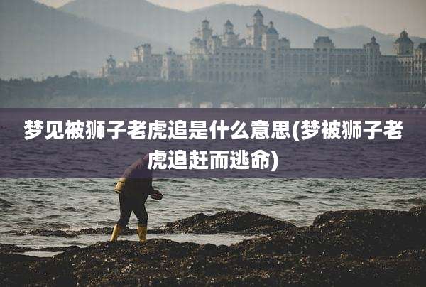 梦见被狮子老虎追是什么意思(梦被狮子老虎追赶而逃命)