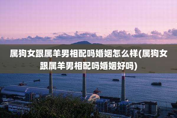 属狗女跟属羊男相配吗婚姻怎么样(属狗女跟属羊男相配吗婚姻好吗)