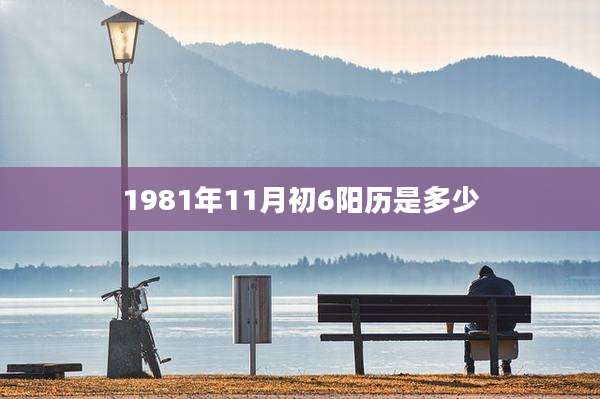 1981年11月初6阳历是多少