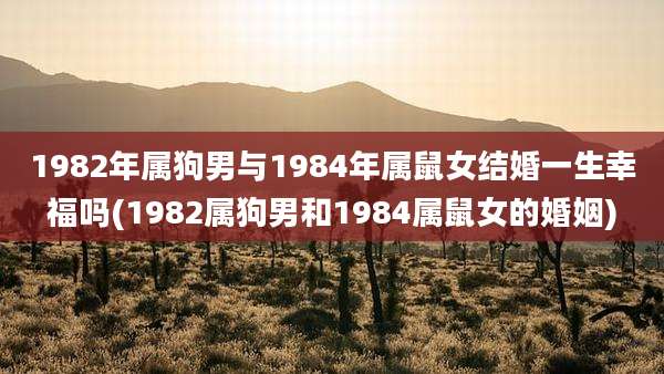 1982年属狗男与1984年属鼠女结婚一生幸福吗(1982属狗男和1984属鼠女的婚姻)