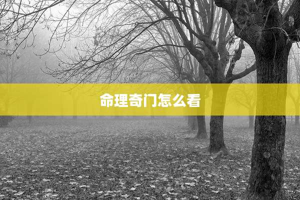 命理奇门怎么看