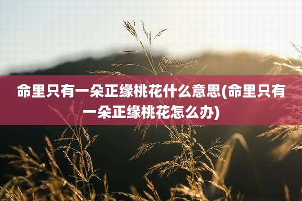 命里只有一朵正缘桃花什么意思(命里只有一朵正缘桃花怎么办)