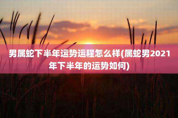 男属蛇下半年运势运程怎么样(属蛇男2021年下半年的运势如何)