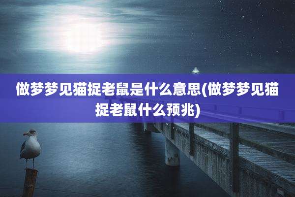 做梦梦见猫捉老鼠是什么意思(做梦梦见猫捉老鼠什么预兆)