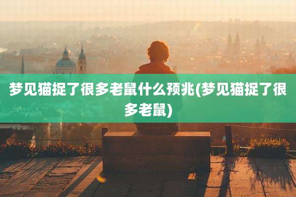 梦见猫捉了很多老鼠什么预兆(梦见猫捉了很多老鼠)